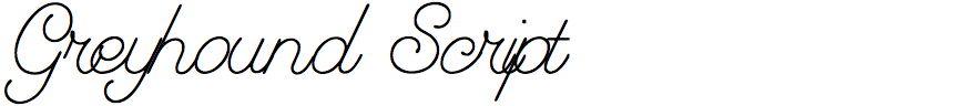 Greyhound Script