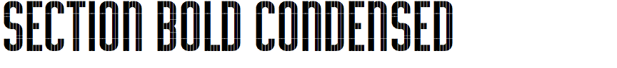 Section Bold Condensed