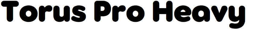Torus Pro Heavy