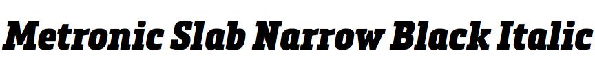 Metronic Slab Narrow Black Italic