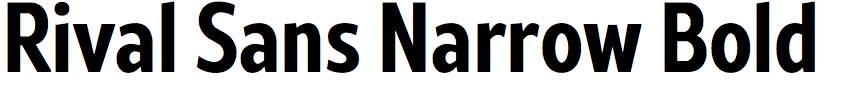 Rival Sans Narrow Bold