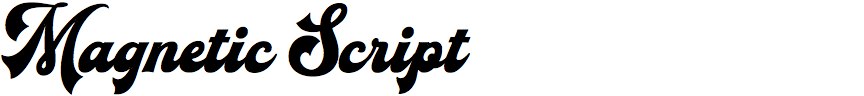 Magnetic Script