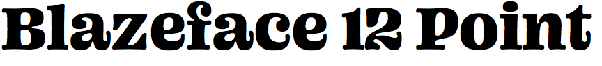 Blazeface 12 Point
