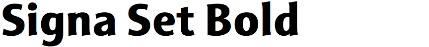 Signa Set Bold