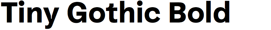 Tiny Gothic Bold
