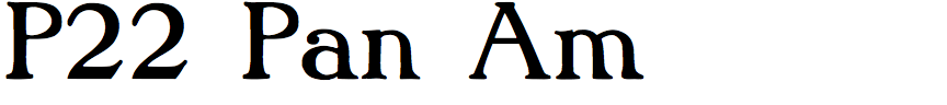 P22 Pan Am