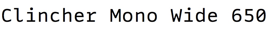 Clincher Mono Wide 650
