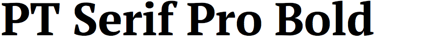 PT Serif Pro Bold