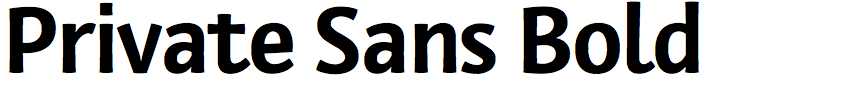 Private Sans Bold