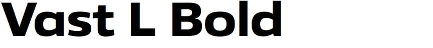 Vast L Bold