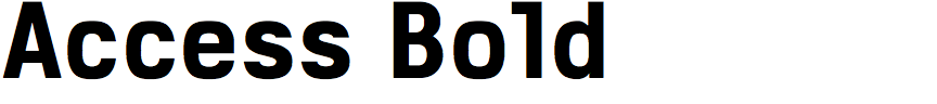 Access Bold (Playtype)