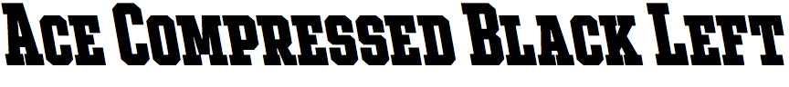 Ace Compressed Black Left