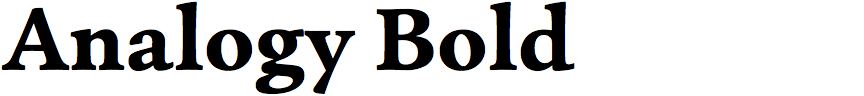 Analogy Bold