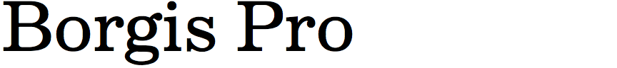 Borgis Pro