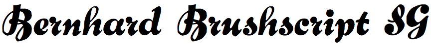 Bernhard Brushscript SG