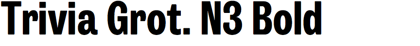 Trivia Grotesk N3 Bold