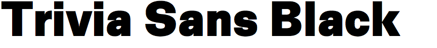 Trivia Sans Black