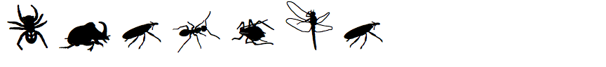 Insects