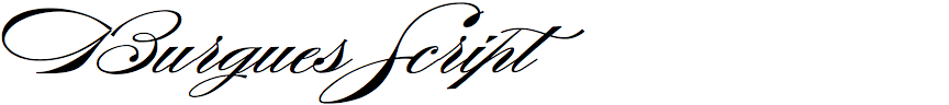 Burgues Script