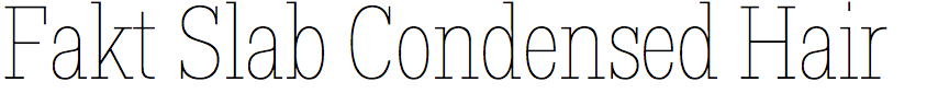 Fakt Slab Condensed Hair