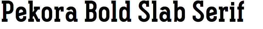 Pekora Bold Slab Serif