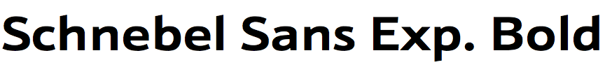 Schnebel Sans Expanded Bold