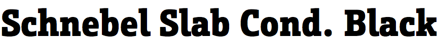 Schnebel Slab Condensed Black