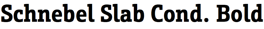 Schnebel Slab Condensed Bold
