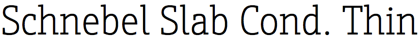 Schnebel Slab Condensed Thin