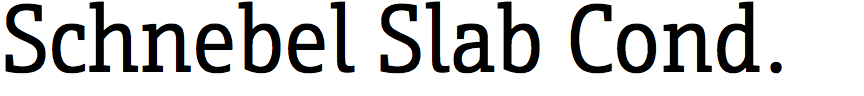 Schnebel Slab Condensed