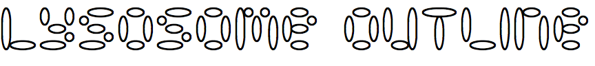 Lysosome Outline