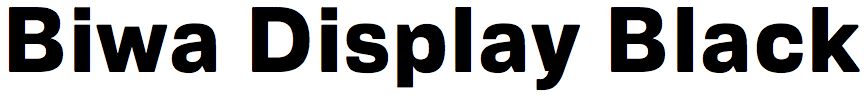 Biwa Display Black