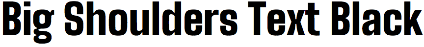 Big Shoulders Text Black