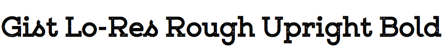 Gist Lo-Res Rough Upright Bold