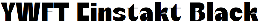 YWFT Einstakt Black
