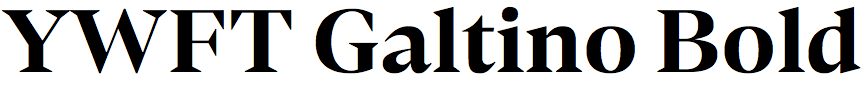 YWFT Galtino Bold