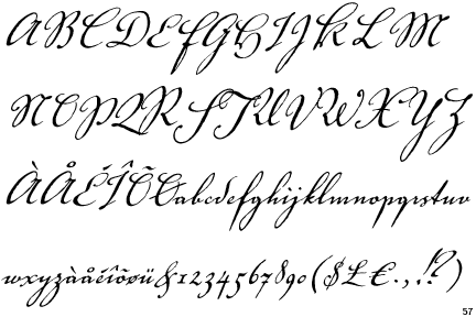 Some distortion might fit a tattoo font anyway. Voluta Script Pro La Figura