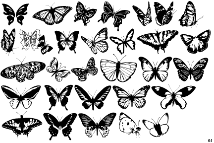 Butterflies