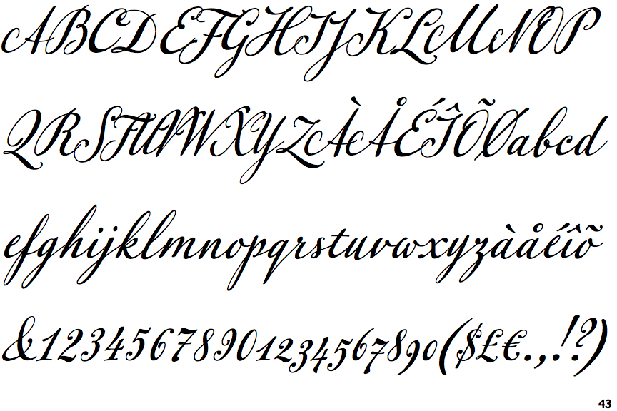 Leander Script Bold