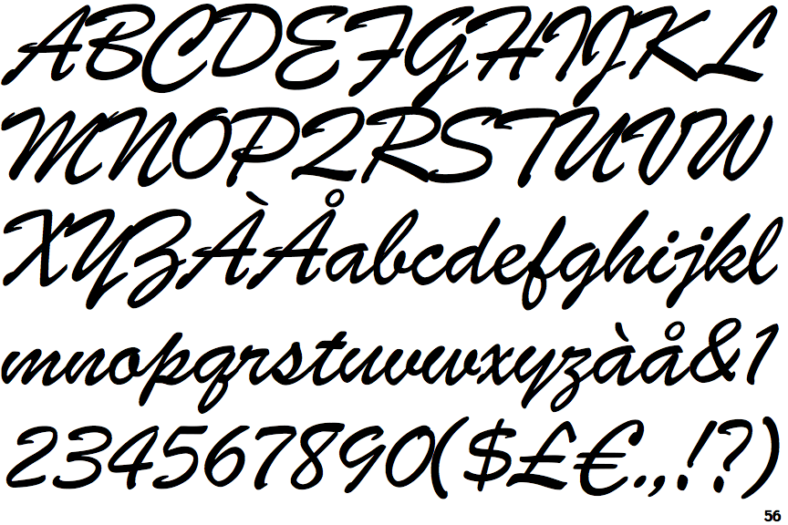 Identifont ATF Brush Light