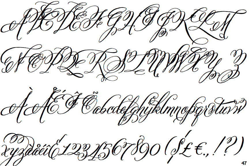 belluccia calligraphy font