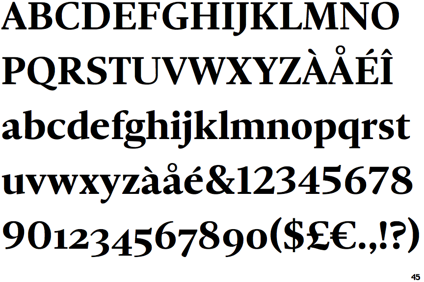 Ni Serif Bold