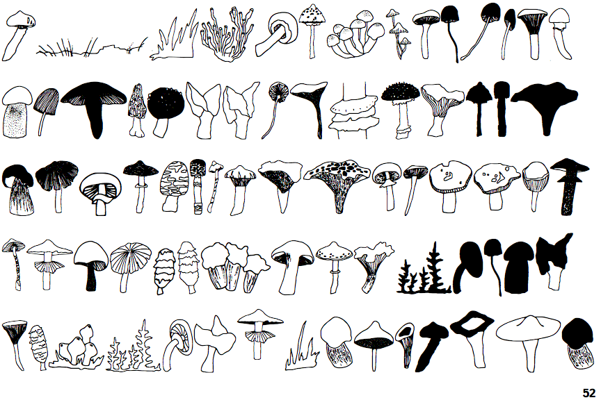 Identifont Funghi Mania