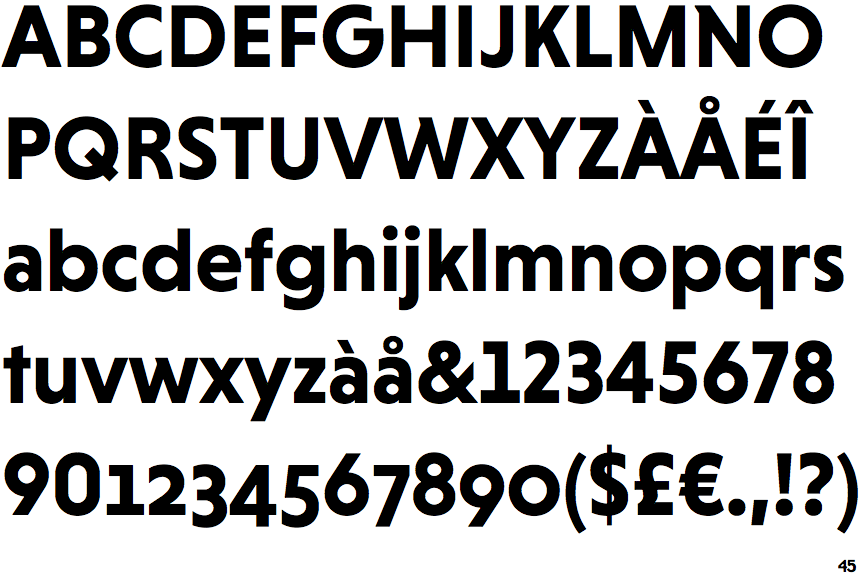 Niveau Grotesk Bold