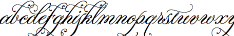 Parfumerie Script Decorative